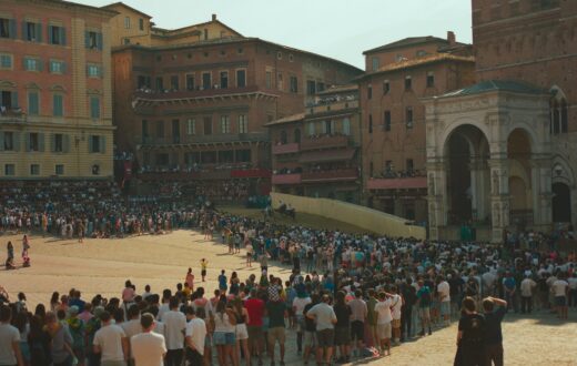 Il cavallo Donrodrigo durante la terza prova del Palio di Siena