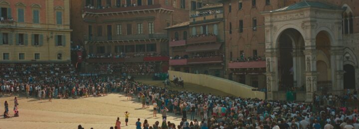 Il cavallo Donrodrigo durante la terza prova del Palio di Siena