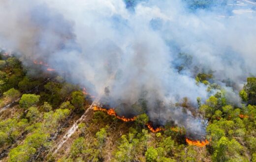 Incendi boschivi in Italia nel 2026
