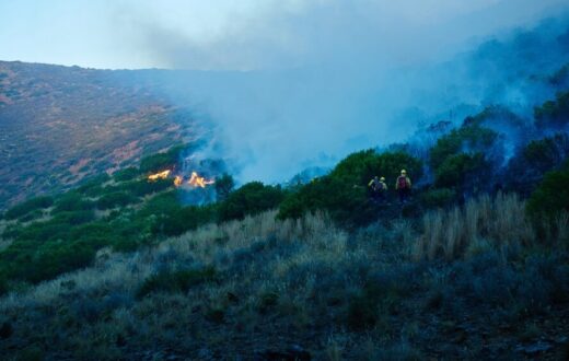 Incendi in Sicilia: interventi dei Vigili del Fuoco