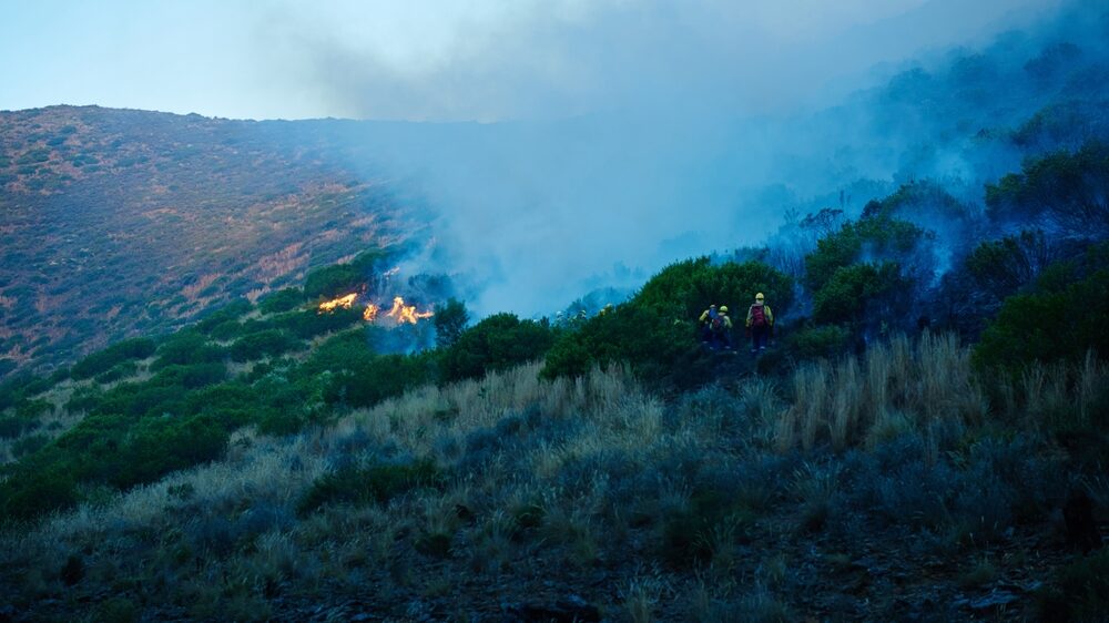 Incendi in Sicilia: interventi dei Vigili del Fuoco