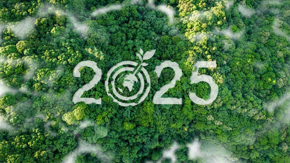 Immagine del Bilancio di Sostenibilità 2025 di Engineering