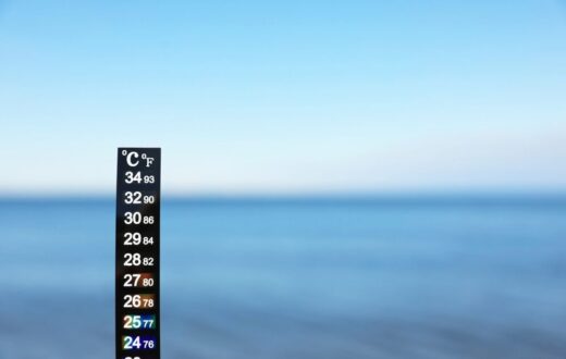 Temperatura media superficiale del mare