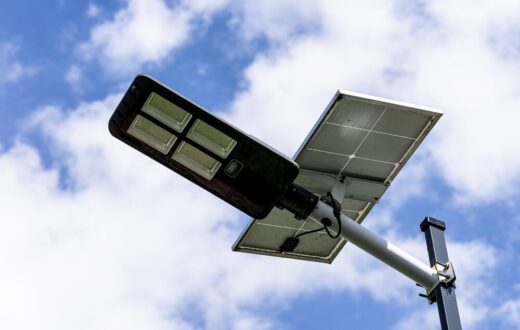 Ortaggi a foglia coltivati con intensità luminosa ottimizzata