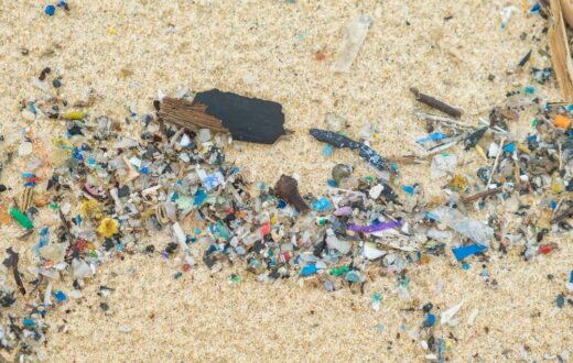 Emergenza plastica e riciclo in Italia